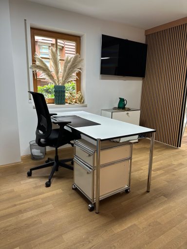 Ein moderner Schreibtisch mit Stuhl, Pflanzen und Fernseher im Hintergrund.